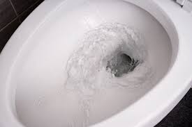 Plug the hole, then unplug it after 1 hour. Can You Unclog A Toilet With Baking Soda And Vinegar Winters Home Services