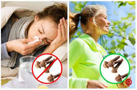 Mescolate bene e applicate la pappetta sul viso, lasciandola in posa per circa 20 minuti. Chiodi Di Garofano Benefici Per La Salute E Quanti Mangiarne