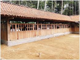 Kandang seperti ini diharapkan untuk memacu pertumbuhan sapi potong lebih pesat, karena sapi memiliki ruang gerak yang tidak terlalu luas, sehingga pakan. Contoh 7 Desain Gambar Kandang Kambing Yang Baik Dan Sehat Wallpaper Hd Keren Kambing Desain Gambar