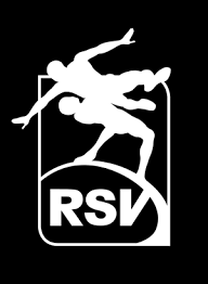 Bildergebnis für logo rsv benningen ringen