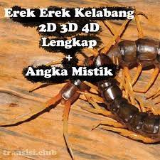 We did not find results for: Erek Erek Kelabang 2d 3d 4d Lengkap Dengan Kode Alam Dan Angka Mistik Transisi