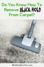 How To Get Mold Out Of Carpet Mold Help For You