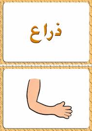ألبومات صور منوعة صور مجموعة بطاقات لبعض كلمات اللغة العربية مع رسم تمثيل كل كلمة Photo Design Some Words Words