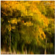 Image result for water reflection photography