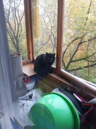 Посты пользователя Charlie_h - JoyReactor