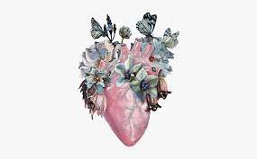 Check spelling or type a new query. Human Heart Drawing Flowers Hd Png Download Kindpng