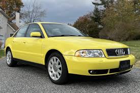 Image result for Citrus Yellow 2004 A4