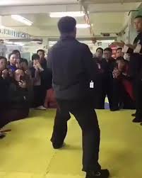 Mestre chen ziqiang demonstrando um dos movimentos comuns presentes nas  formas de tai chi mp4 watch online