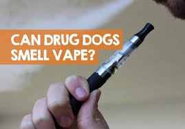 Can Drug Dogs Smell Carts? Can You Make Them Odor Proof?