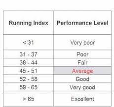 Polar Running Index 48 Related Keywords Suggestions