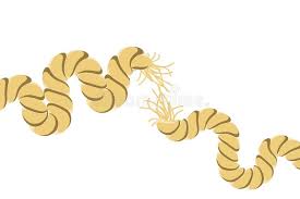 Breaking Rope Stock Illustrations 71 Breaking Rope Stock Illustrations Vectors Clipart Dreamstime Find professional rope breaking videos and stock footage available for license in film, television, advertising and corporate uses. breaking rope stock illustrations 71