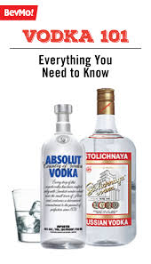 Pin On Vodka Recipes