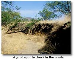 Instead, it's usually best to use a metal detector and/or a drywasher. Looking For Gold In Arizona S Washes Desertusa