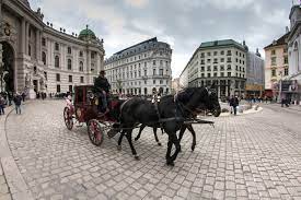 Check spelling or type a new query. Experience Vienna In A Horse Drawn Carriage Vienna4u At