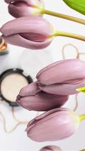 bl漫画気付いたら××してた？朝起きたらベッドの中で『キャンディ☆ロメオ 2〜3話』マンガmeeマンガ動画 - エロ 漫画 動画 無料