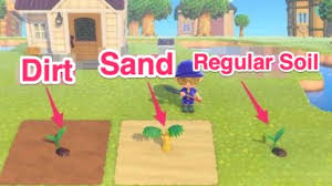 What should i do if i want to plant a palm tree? Acnh Palm Trees Coconuts How To Get Plant Animal Crossing Gamewith