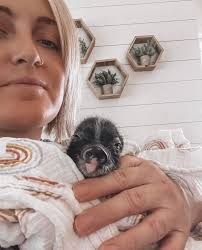 Donation drive for animal shelter and rescue in Portland