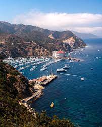 Catalina Casino Christmas 2021 Photos 248 Catalina Casino Stock Photos Pictures Royalty Free Images Istock