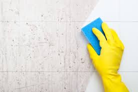 We did not find results for: Lessiver Un Mur Materiel Methodes Et Astuces Pratiques