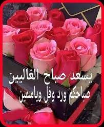pin by soul on flowers good morning beautiful images good morning beautiful beautiful images