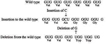 Unit 4: Central dogma and genetic cod Key experiments establishing-the  central do template), Genetic code: salient features and