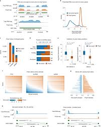 Like proteins, some rna molecules play an active role in cells by catalyzing biological reactions, controlling gene expression, or sensing and communicating responses to cellular signals. Sx P14ll02s7hm