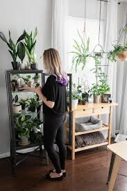 About us contact us toll free. How To Use Grow Lights For Houseplants To Help Them Thrive