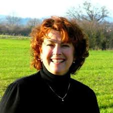 The Guest: A totally addictive and gripping thriller with a shocking twist  eBook : Mace, Lorraine: Amazon.com.au: Kindle Store