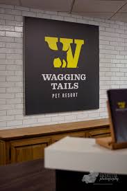 Our goal is to create a safe and engaging place for users to connect over interests and passions. Wagging Tails Pet Resort Studio Grey