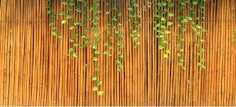 How To Apply Floor Sealant On Bamboo Doityourself Com