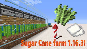 When a sugarcane grows three blocks. How Do You Make An Automatic Sugar Cane Farm Arqade