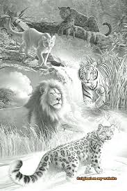 Drawing Art Tumblr Realistic Animal Pencil Drawings 33 Vahsi Hayvanlar Hayvan Cizimi Kaplanlar
