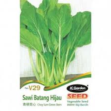 Pok choy sayur hijau sayur segar sayuran segar. Jc Garden V29 Vegetable Seed Choy Sum Green Stem Sawi Batang Hijau Biji Benih Sayur Sayuran