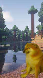 We have 87+ background pictures for you! Cheems Wallpapers Top Free Cheems Backgrounds Wallpaperaccess