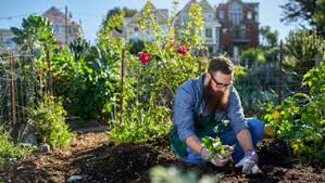 Knowing your first and last frost dates will help you start your vegetable seeds at the right time. What Is An Urban Garden And How To Make One Iberdrola