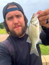 Lake Hefner this morning the sand bass were