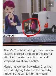 Lilycfthevalley Miraculous Ladybug Anime Miraculous Ladybug Memes Miraculous Ladybug