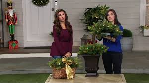 We did not find results for: Bethlehem Lights Prelit Mixed Greens Pinecones 24 Urn Filler On Qvc Youtube