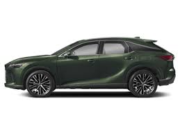 Image result for Nori Green 2025 LZ