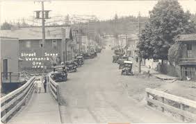 Image result for Vernonia