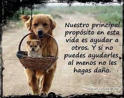 Pin En Frases