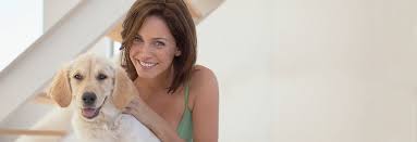 Check spelling or type a new query. House Sitting Pet Sitting Melbourne Happy House Sitters