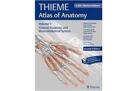 Atlas of anatomy, fourth edition builds on its longstanding reputation of what users say about the atlas of anatomy: General Anatomy And Musculoskeletal System Thieme Atlas Of Anatomy Latin Nomenclature Kogan Com
