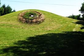 If you have a high water table, lets say at 1 foot below the surface, you need to bring in 2 feet of soil. Mound Septic System Information Covington Ga Call 678 212 5257