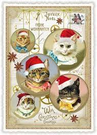 Die ägyptische mau hat kurzes, gepunktetes, dicht anliegendes fell. Katzen Mutze Weihnachtskarte Postkarte Linus Hundeglueck