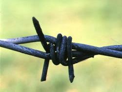 إذا هممت بالمعصية