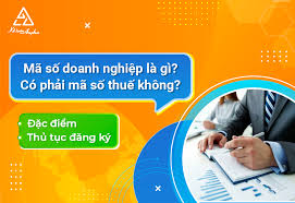Mã số doanh nghiệp là gì? Số này có phải là mã số thuế không