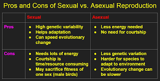 Results in offspring that are genetically identical to each other and to the parent. Noel Pauller On Twitter Pros And Cons Of Sexual Vs Asexual Reproduction Biology Https T Co Ypvptpro1r