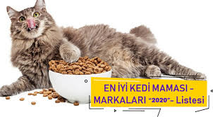 En Iyi Kedi Mamasi 2020 En Iyi Kedi Mamasi Markalari