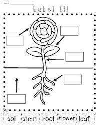 Pin On Kinder Science